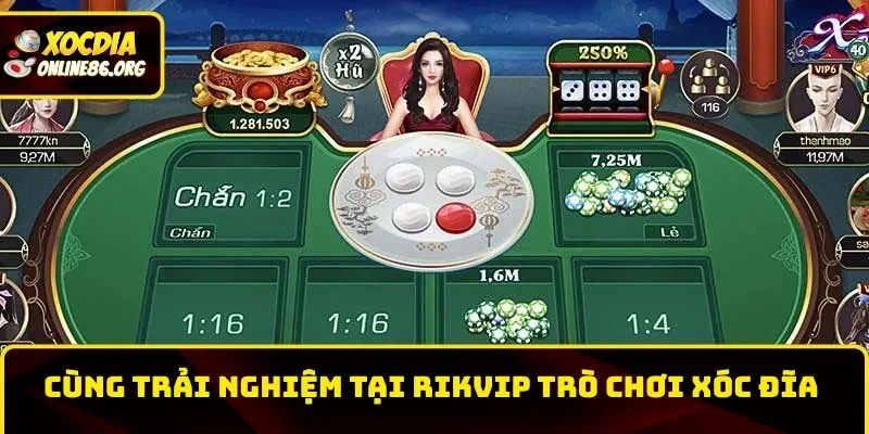 rikvip cung trai nghiem tro choi xoc dia Cùng trải nghiệm tại Rikvip trò chơi Xóc Đĩa
