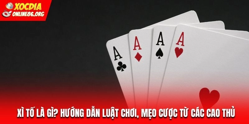 Xì Tố Là Gì? Hướng Dẫn Luật Chơi, Mẹo Cược Từ Các Cao Thủ