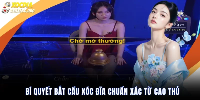 Bí quyết bắt cầu xóc đĩa chuẩn xác từ cao thủ