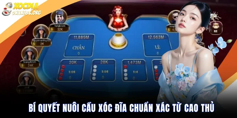 Bí quyết nuôi cầu xóc đĩa chuẩn xác từ cao thủ