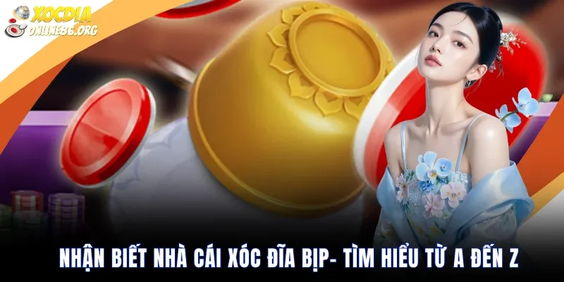 Nhận Biết Nhà Cái Xóc Đĩa Bịp- Tìm Hiểu Từ A Đến Z
